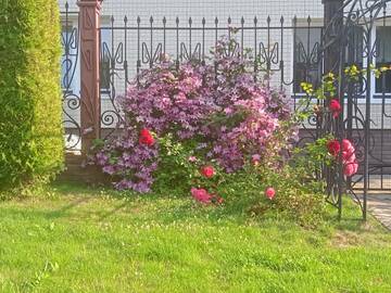 https://upforme.ru/uploads/0019/f6/b8/436/t860805.jpg