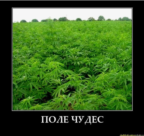 https://upforme.ru/uploads/0019/f6/b8/44/t299539.png