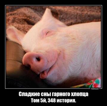 https://upforme.ru/uploads/0019/f6/b8/44/t684924.jpg