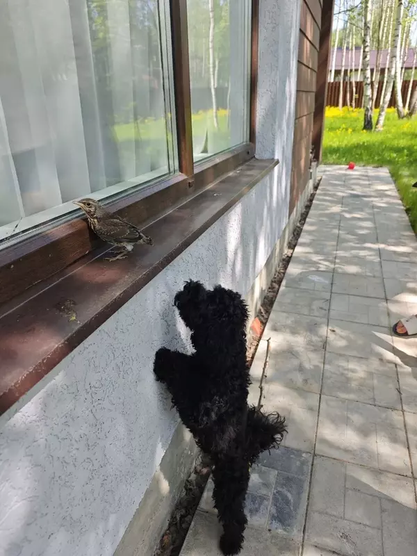https://upforme.ru/uploads/0019/f6/b8/44/t77456.webp