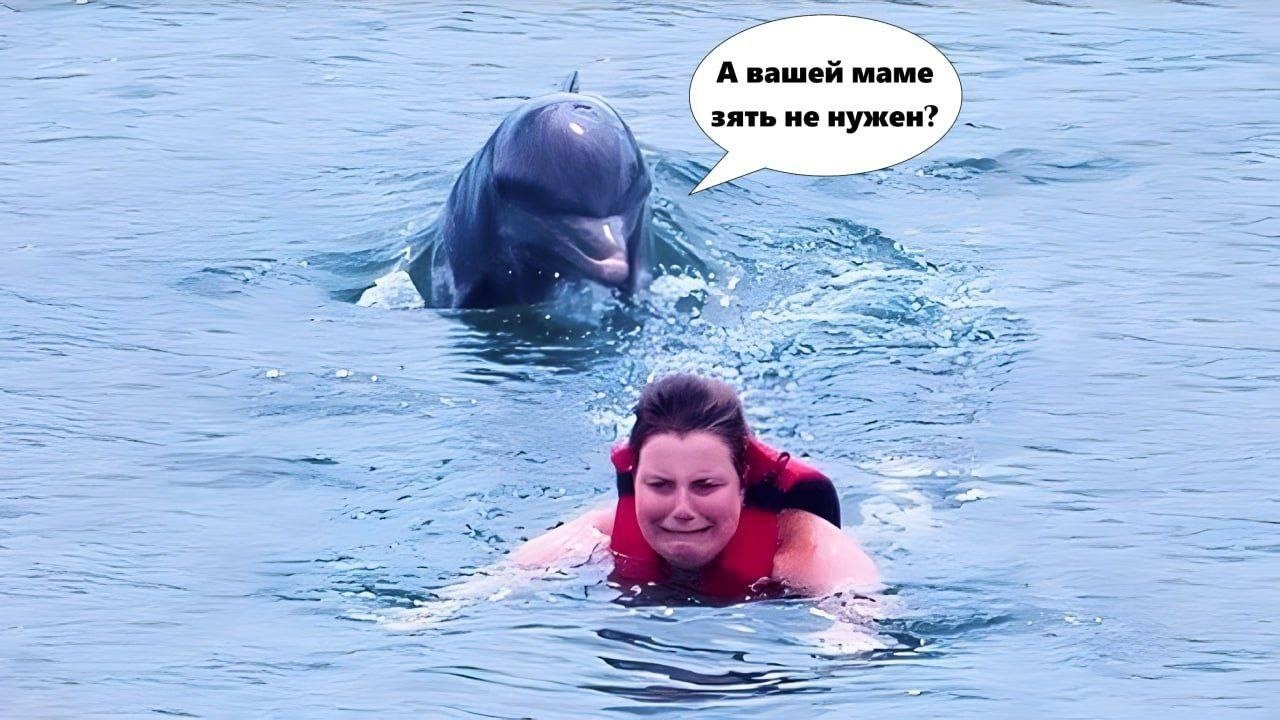 https://upforme.ru/uploads/0019/f6/b8/440/655210.jpg