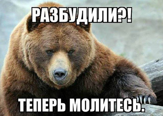 https://upforme.ru/uploads/0019/f6/b8/440/707933.jpg