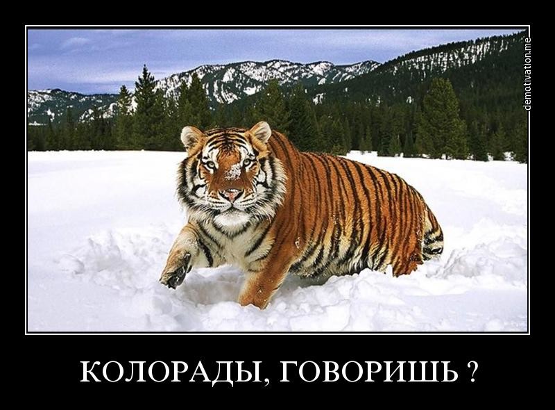https://upforme.ru/uploads/0019/f6/b8/440/841843.jpg