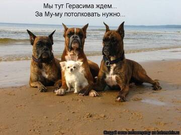 https://upforme.ru/uploads/0019/f6/b8/440/t920916.jpg
