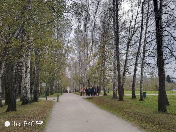 https://upforme.ru/uploads/0019/f6/b8/445/t792259.jpg
