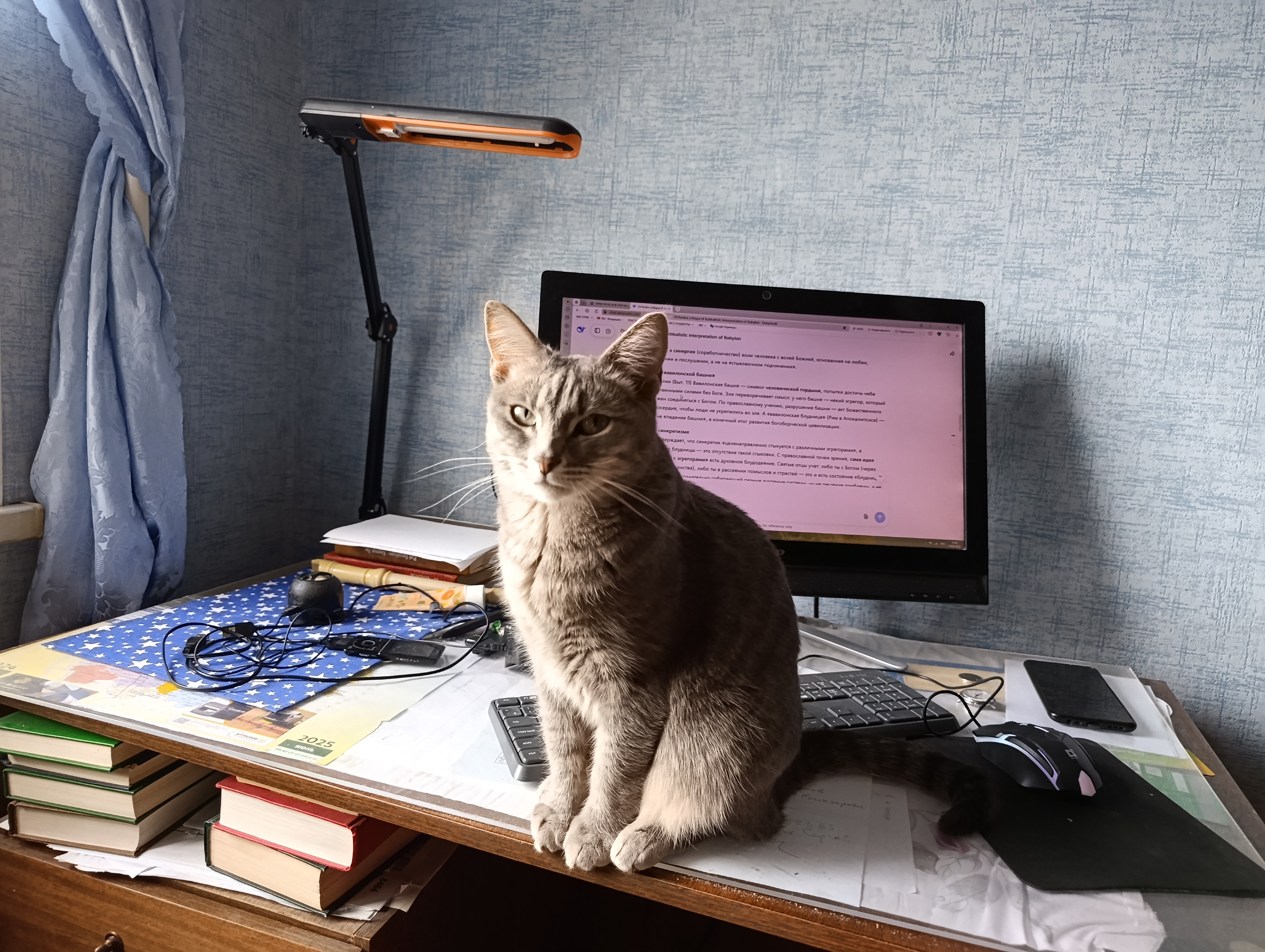 ������ ���� .