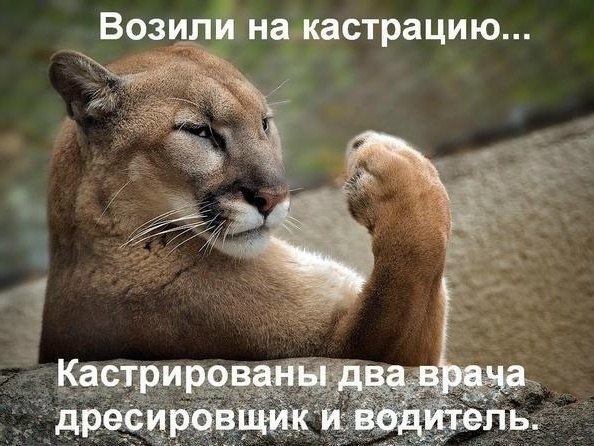 https://upforme.ru/uploads/0019/f6/b8/554/649398.jpg