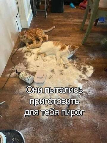 https://upforme.ru/uploads/0019/f6/b8/62/t544950.jpg