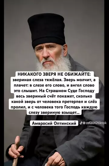 https://upforme.ru/uploads/0019/f6/b8/62/t627293.webp