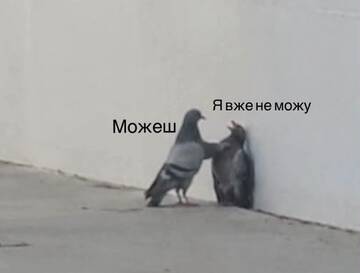 https://upforme.ru/uploads/0019/f6/b8/62/t776361.jpg