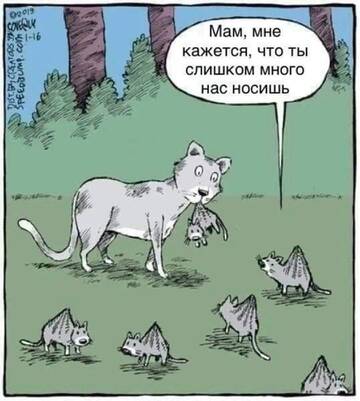 https://upforme.ru/uploads/0019/f6/b8/62/t956490.jpg