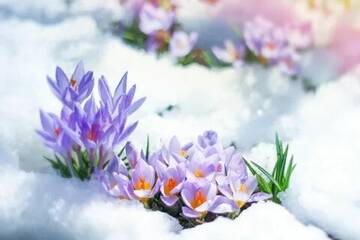 https://upforme.ru/uploads/0019/f6/b8/78/t206595.jpg