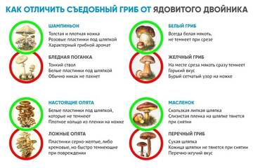 https://upforme.ru/uploads/0019/f6/b8/78/t860759.jpg