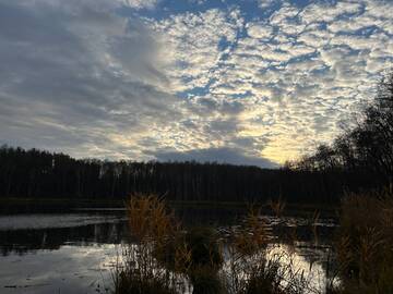 https://upforme.ru/uploads/0019/f6/b8/92/t943052.jpg