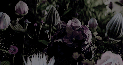 https://upforme.ru/uploads/0019/fd/38/1111/59914.gif