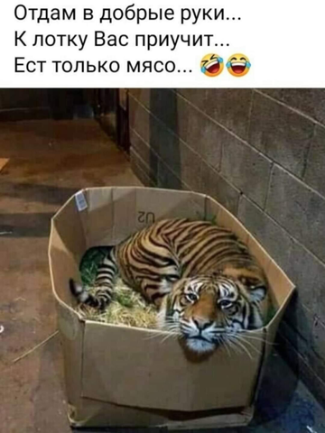 https://upforme.ru/uploads/0019/fe/1d/128/t217841.png
