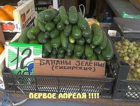 https://upforme.ru/uploads/001a/00/cb/12/t962635.jpg