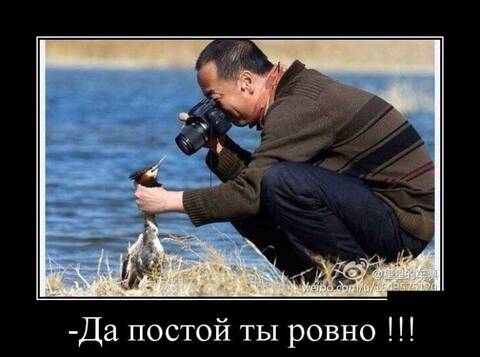 https://upforme.ru/uploads/001a/00/cb/13/t587701.jpg