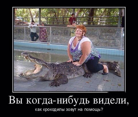 https://upforme.ru/uploads/001a/00/cb/13/t850214.jpg