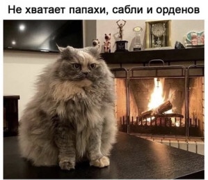 https://upforme.ru/uploads/001a/00/cb/13/t875531.jpg