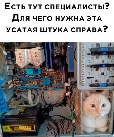 https://upforme.ru/uploads/001a/00/cb/1393/t111112.jpg