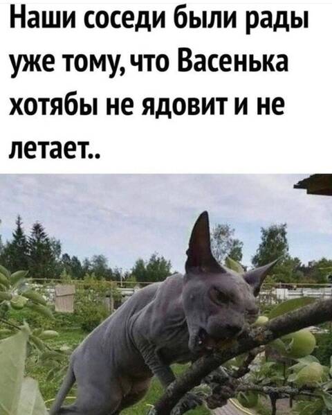 https://upforme.ru/uploads/001a/00/cb/1393/t670586.jpg