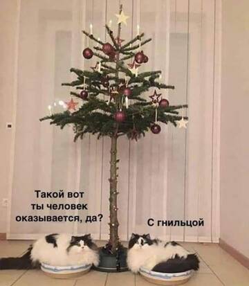 https://upforme.ru/uploads/001a/00/cb/1393/t683896.jpg