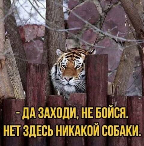 https://upforme.ru/uploads/001a/00/cb/1393/t703826.jpg