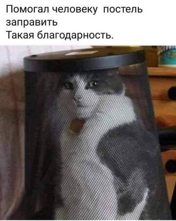 https://upforme.ru/uploads/001a/00/cb/1393/t752760.jpg