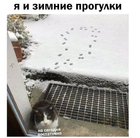 https://upforme.ru/uploads/001a/00/cb/1393/t999597.jpg