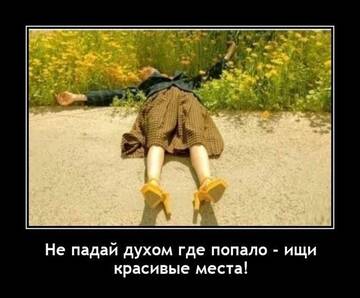 https://upforme.ru/uploads/001a/00/cb/14/t233164.jpg