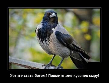 https://upforme.ru/uploads/001a/00/cb/14/t44930.jpg