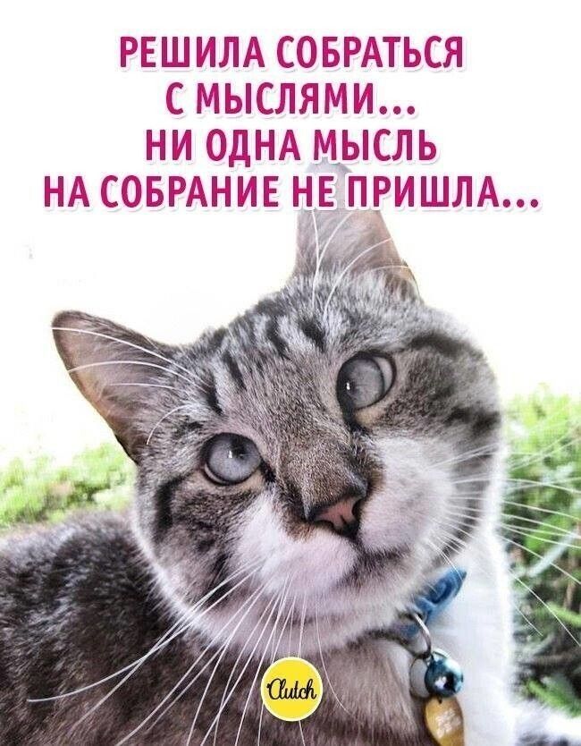 https://upforme.ru/uploads/001a/00/cb/141/55705.jpg