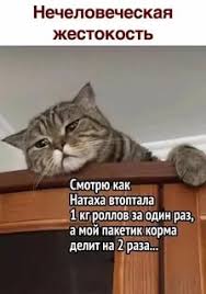 https://upforme.ru/uploads/001a/00/cb/141/746627.jpg