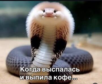 https://upforme.ru/uploads/001a/00/cb/141/t453454.jpg