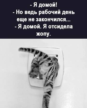 https://upforme.ru/uploads/001a/00/cb/1429/t132031.jpg