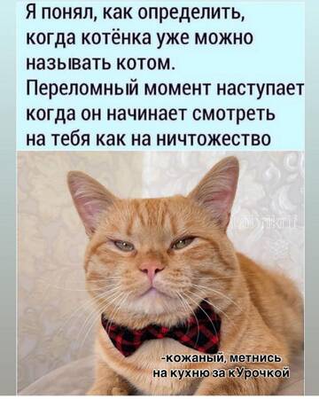 https://upforme.ru/uploads/001a/00/cb/1429/t237859.jpg