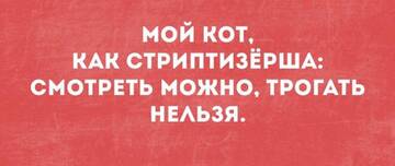 https://upforme.ru/uploads/001a/00/cb/1429/t289134.jpg