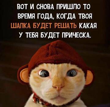 https://upforme.ru/uploads/001a/00/cb/1429/t290747.jpg