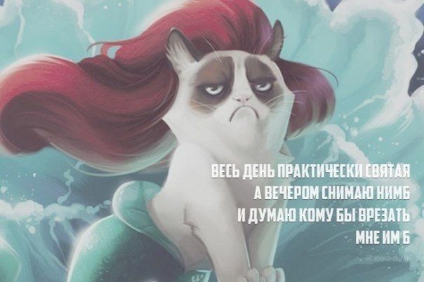 https://upforme.ru/uploads/001a/00/cb/1508/69861.jpg
