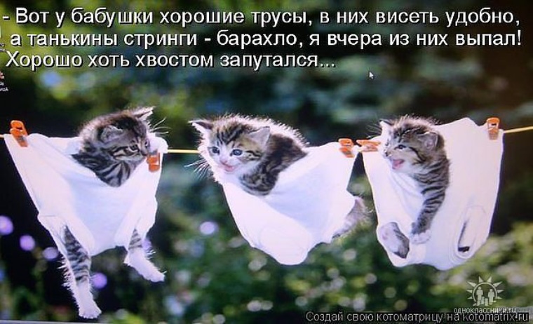 https://upforme.ru/uploads/001a/00/cb/171/323449.jpg