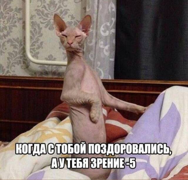 https://upforme.ru/uploads/001a/00/cb/171/51391.jpg
