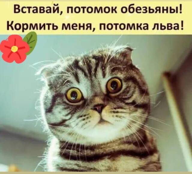 https://upforme.ru/uploads/001a/00/cb/171/562337.jpg