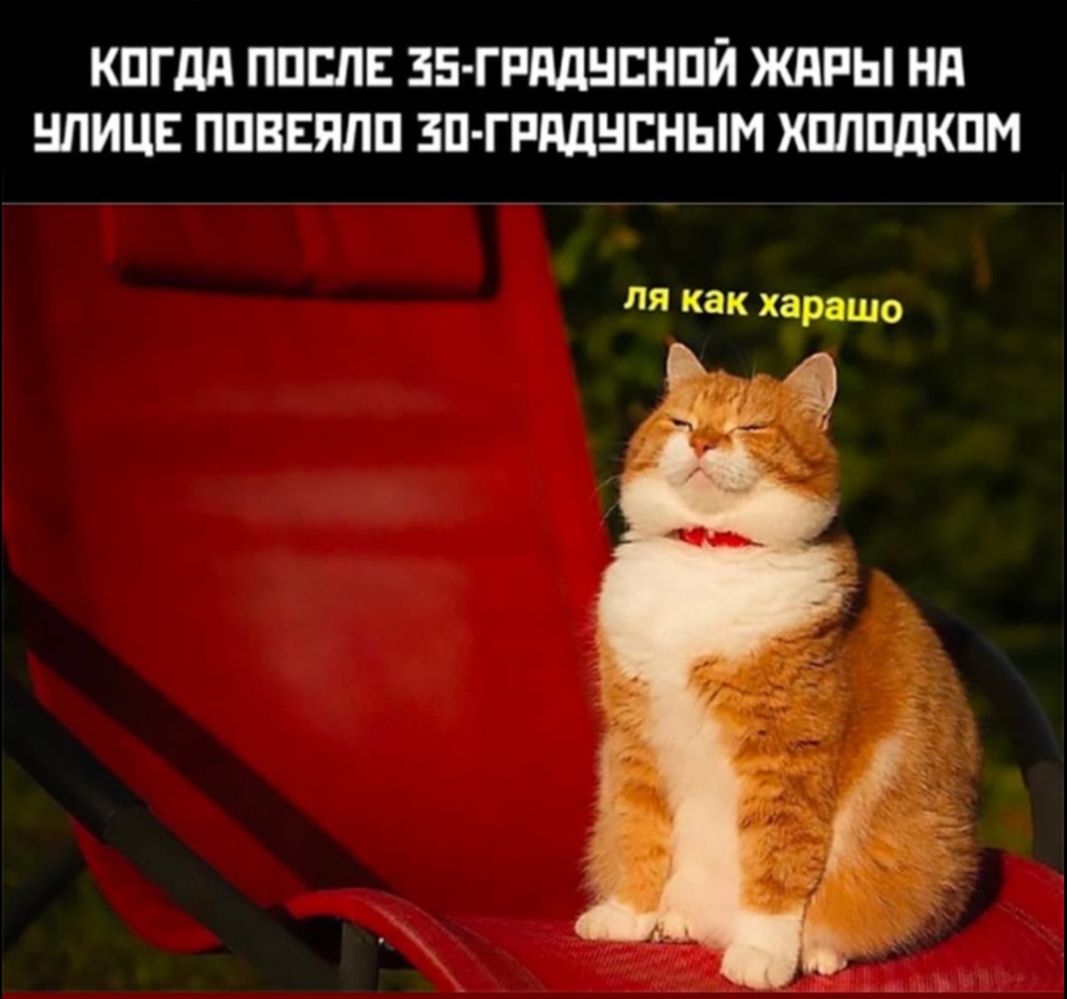 https://upforme.ru/uploads/001a/00/cb/171/588088.jpg
