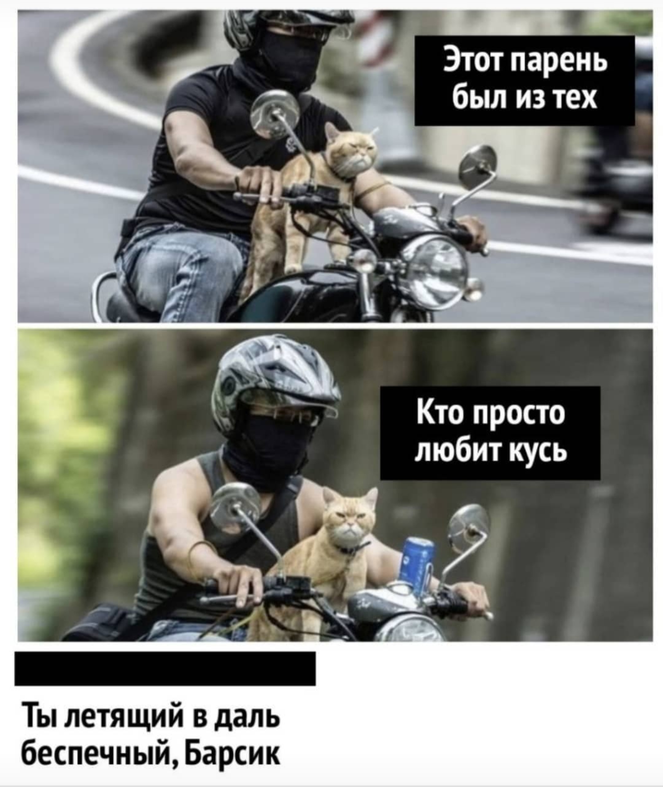 https://upforme.ru/uploads/001a/00/cb/171/610866.jpg