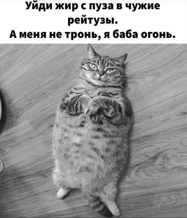 https://upforme.ru/uploads/001a/00/cb/171/68711.jpg