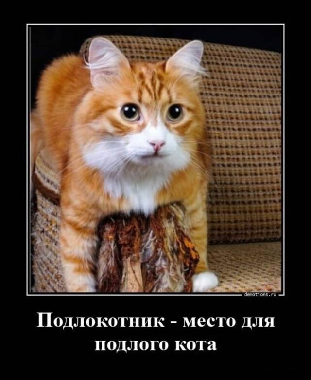 https://upforme.ru/uploads/001a/00/cb/171/697548.jpg