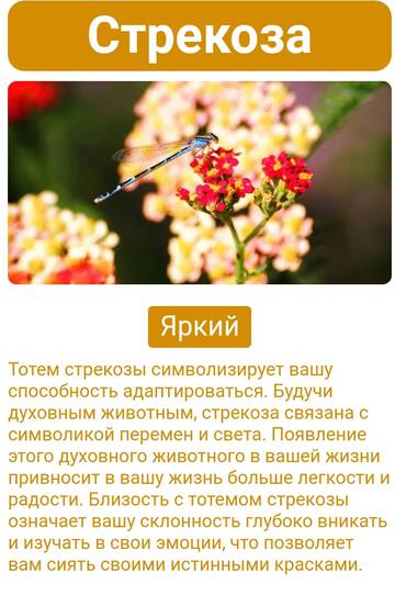 https://upforme.ru/uploads/001a/00/cb/21/t386244.jpg