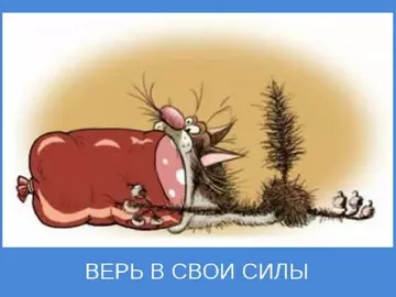 https://upforme.ru/uploads/001a/00/cb/325/t141140.webp