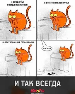 https://upforme.ru/uploads/001a/00/cb/325/t330020.jpg